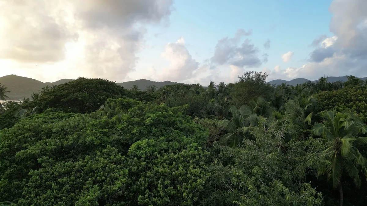 Aerial view of Bhakti Kutir forest